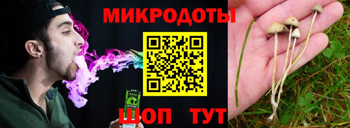 Галлюциногенные грибы мухоморы  где продают   Вход с VPN  Тамбов  Галлюциногенные грибы Magic Shrooms 